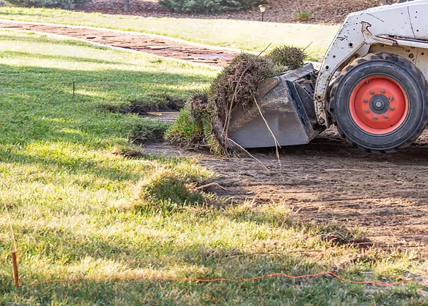 pool removal, top reasons to remove your pool