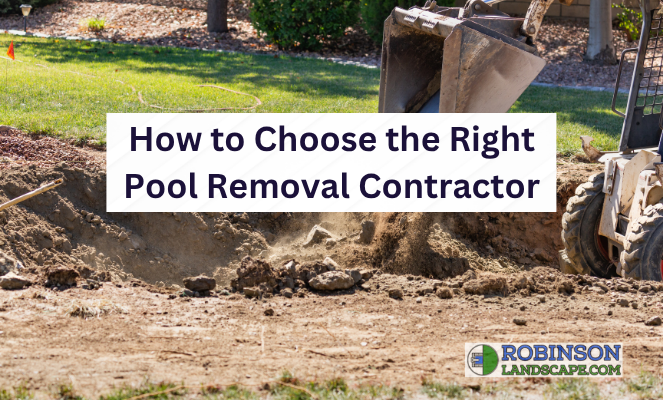 How to Choose the Right Pool Removal Contractor